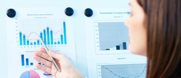 program_financiar